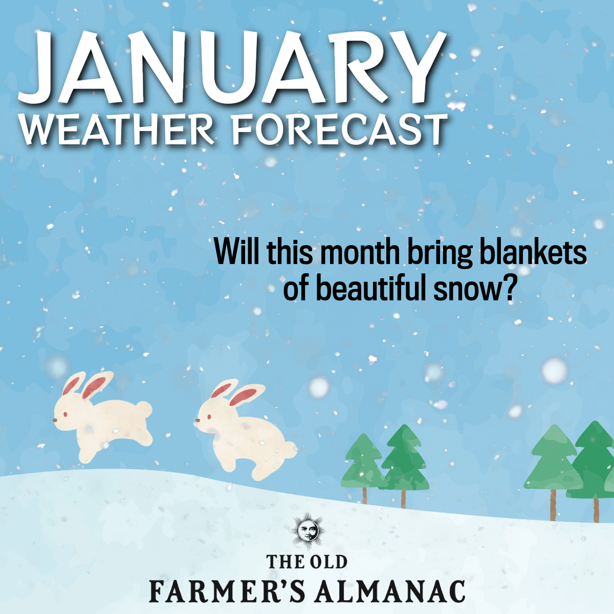 St Louis Weather January 2025 Weather Forecast - Mady Karlie